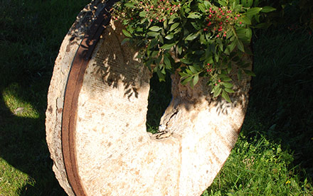 menina do laranjal14