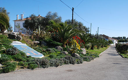 menina do laranjal15